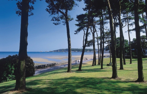 Howell’s Reach, Derwen Fawr, Swansea