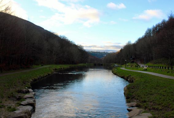 Cwm Carn forest (1)_edited sml