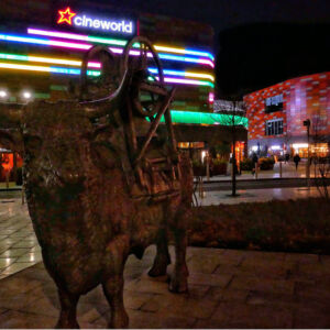 Friars bull night web