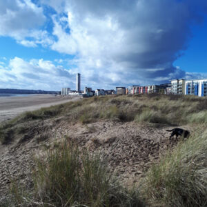 Swansea Beach _sml