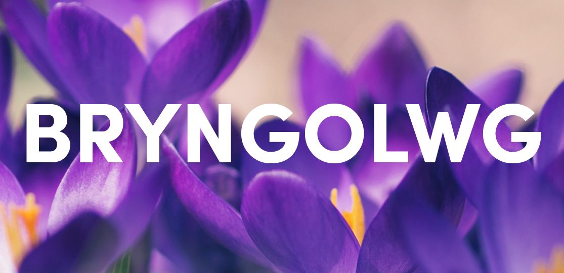 Bryngolwg