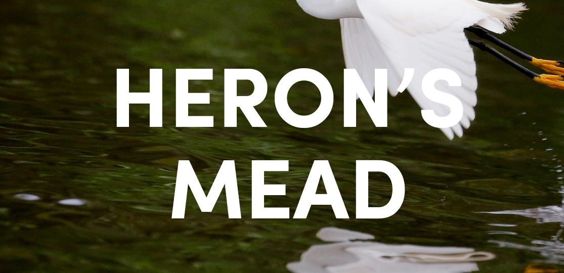 Heron's Mead