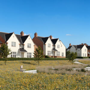 StreetScene_09 1115x720