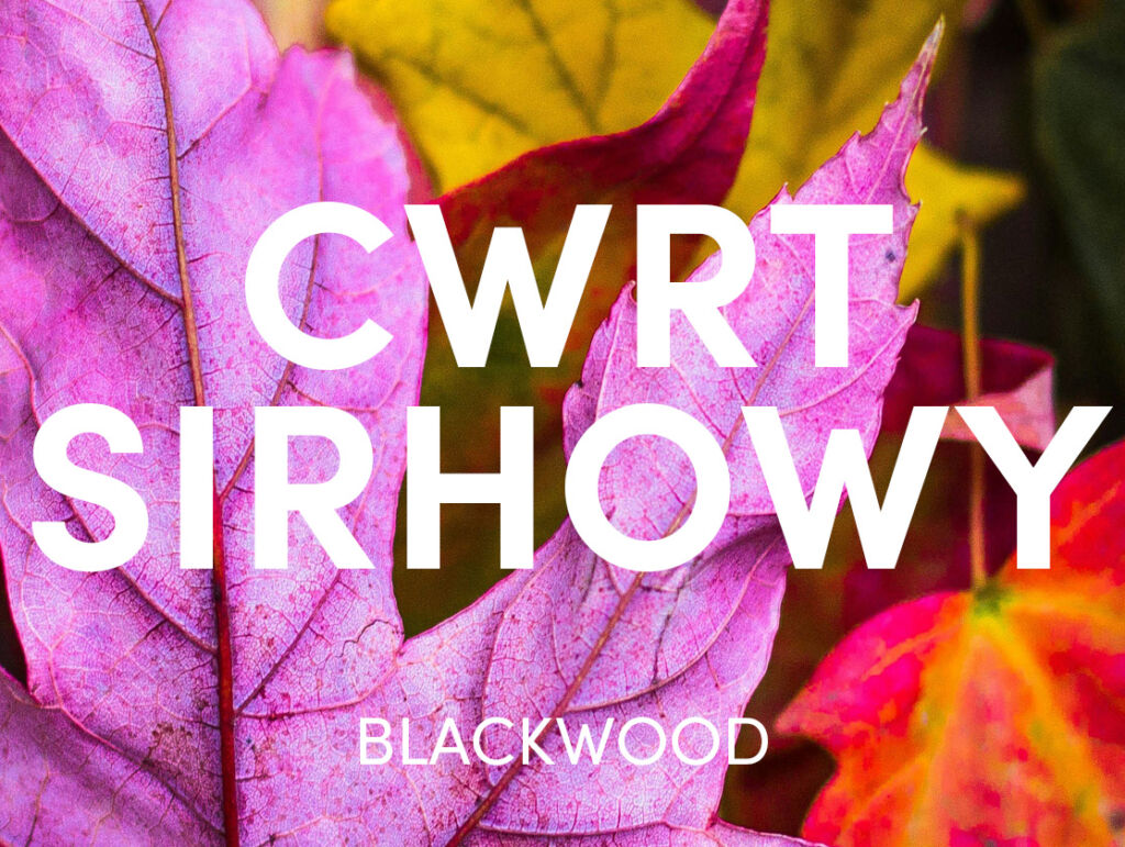 Cwrt Sirhowy