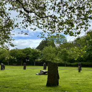 Gorsedd park web