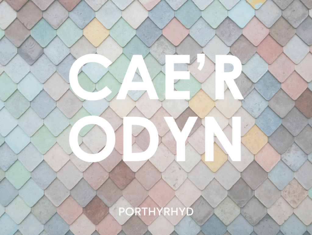 Cae'r Odyn, Porthyrhyd